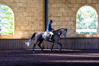 SRSJ Young Horse-6974