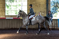 SRSJ Young Horse-6999