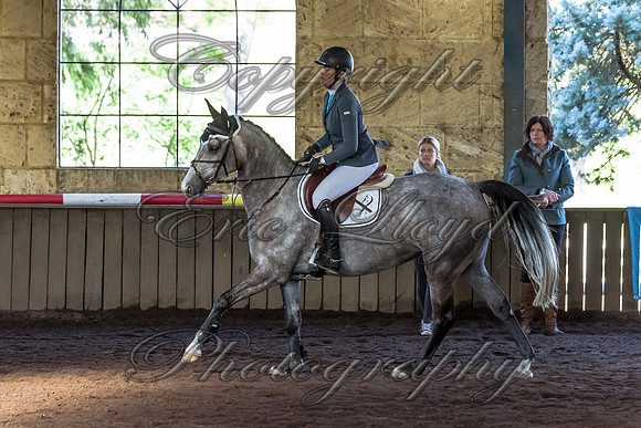 SRSJ Young Horse-6999