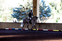 SRSJ Young Horse-6975