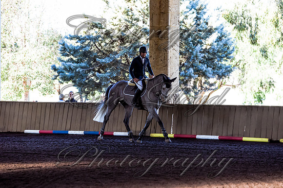 SRSJ Young Horse-6975