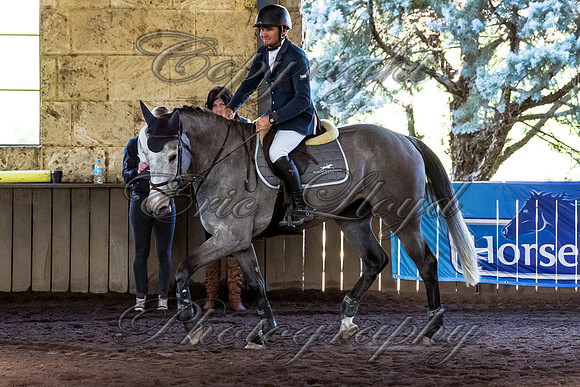 SRSJ Young Horse-6990