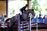 SRSJ Young Horse-6982