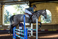 SRSJ Young Horse-7004