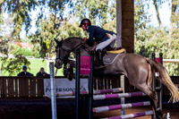 SRSJ Young Horse-6985