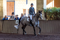 SRSJ Young Horse-6996