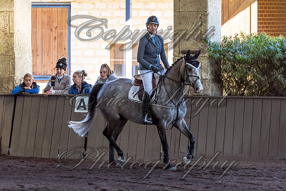 SRSJ Young Horse-6996
