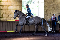 SRSJ Young Horse-6979