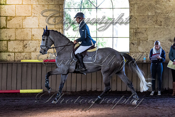 SRSJ Young Horse-6979