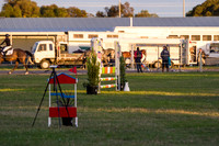 IMGP4649