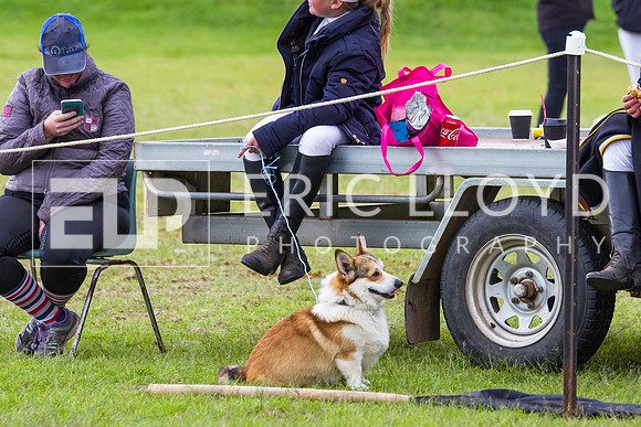 untitled-6368