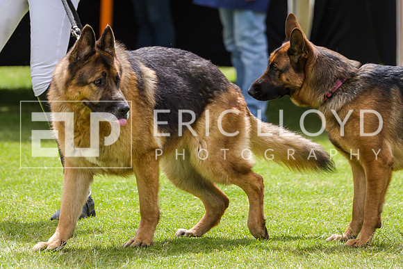 untitled-5809