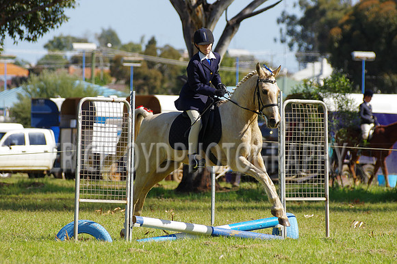 Bev Ag 2014-5157
