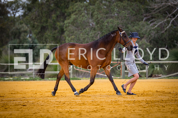 untitled-0907