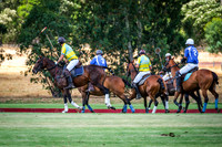 DSCF6965