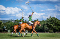 Polo 2026