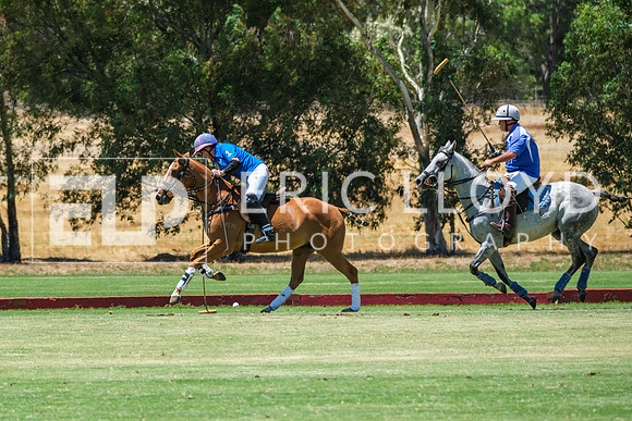 DSCF8034