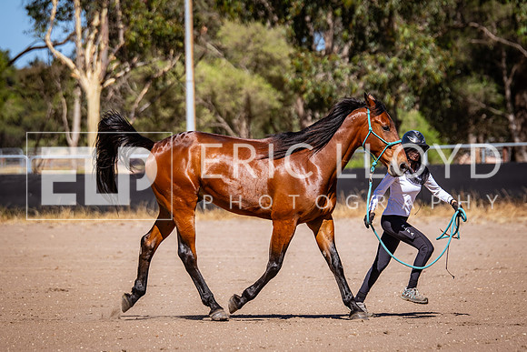 IMGP2874