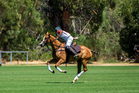 WA Polo Kings Meadow 21st February 2026