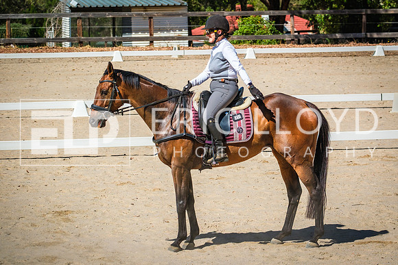 DSCF8957