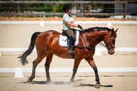 DSCF0666