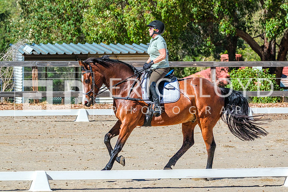 DSCF8414