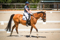 DSCF0503