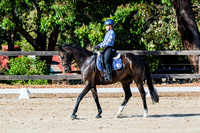 DSCF7825