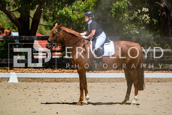 DSCF0701