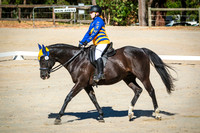 DSCF8139