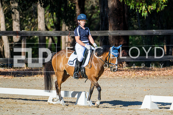 DSCF7305
