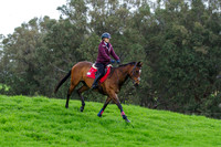 IMGP6349
