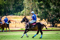 Game 2  10.45am Tanglefoot v Polo Kidogo