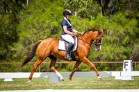 Transitions Dressage 8th March' 26