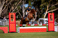 Southside Training 75cm