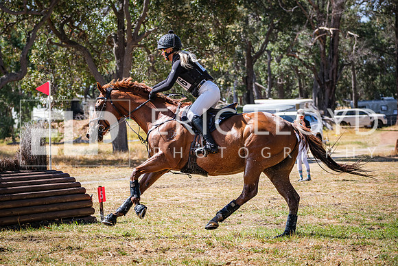 DSCF5411