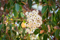 DSCF6372