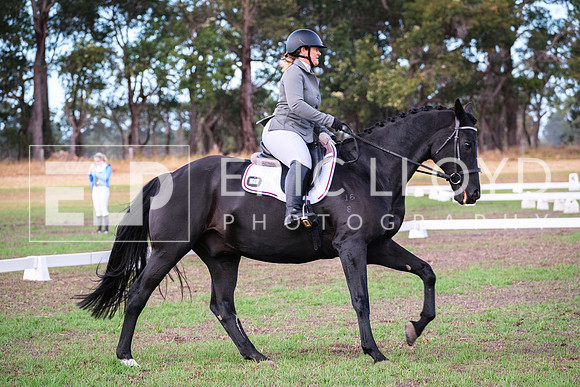 DSCF8945