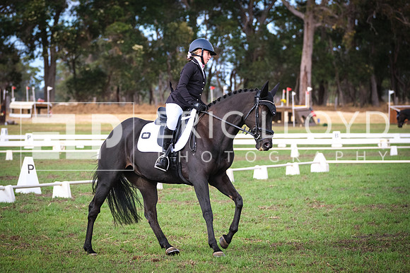 DSCF9429
