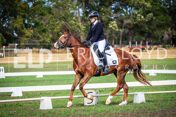 DSCF9887