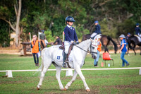 DSCF0137