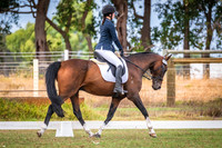 DSCF1627
