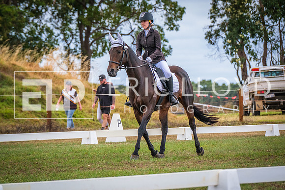 DSCF2104