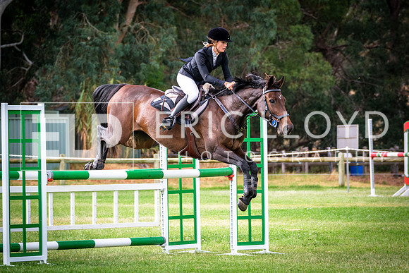 DSCF0915