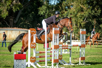 DSCF2012