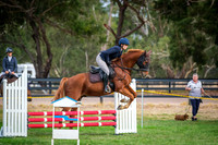 2. Horseland Midland 70cm Optimum Time