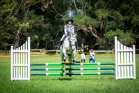 3. Horseland Midland 80cm