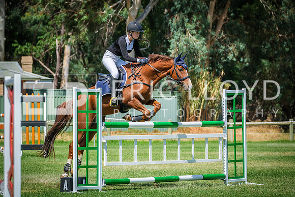 DSCF3422