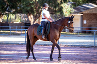 IMGP0419