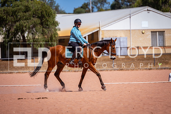 IMGP1378